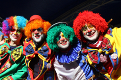 1.-Peitschenknaller-262